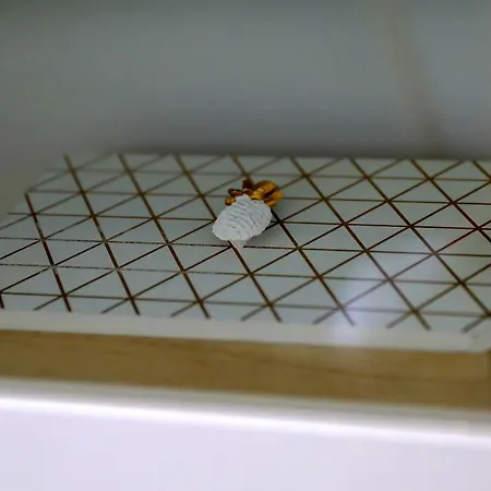 Apartment Luxury In By Altamarhomes Playa Paraiso (Tenerife)