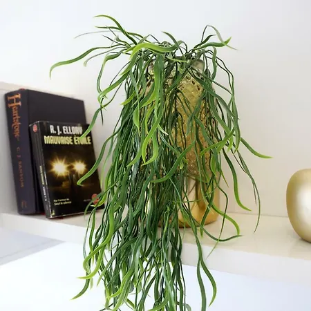 Luxury In By Altamarhomes Apartment *