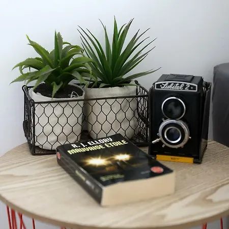 Luxury In By Altamarhomes